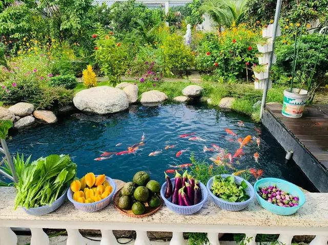 Nuôi Cá Trồng Rau