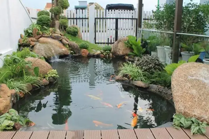Phong Thủy Ao Cá Trước Nhà