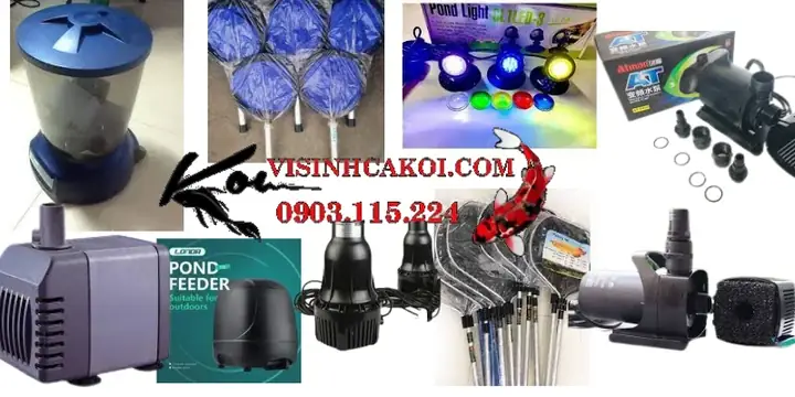 Phụ Kiện Bể Cá Koi
