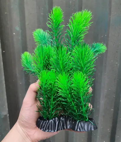 Phụ Kiện Bể Cá Mini
