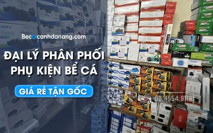 Phụ Kiện Hồ Cá Giá Sỉ