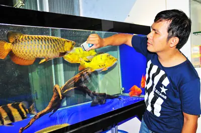 Phụ Kiện Nuôi Cá