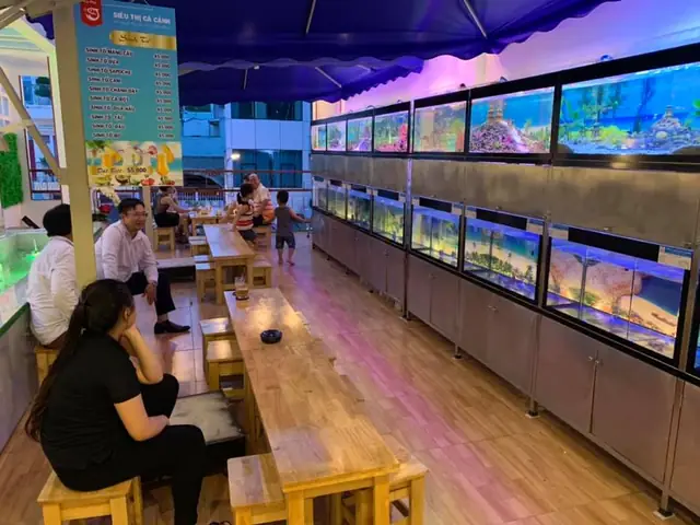 Quán Cafe Cá Cảnh