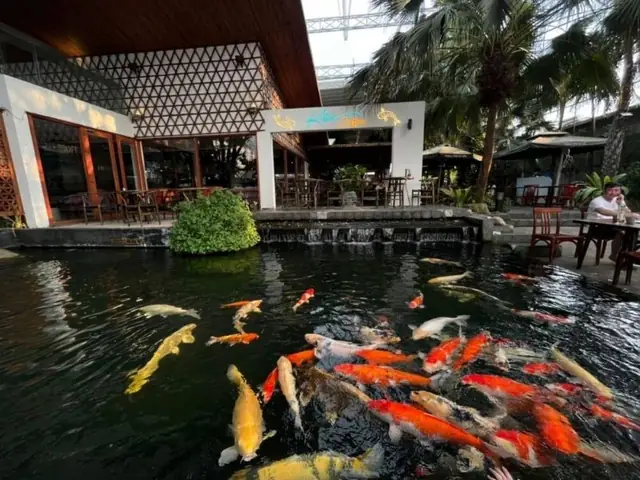 Quán Cafe Có Cá Koi