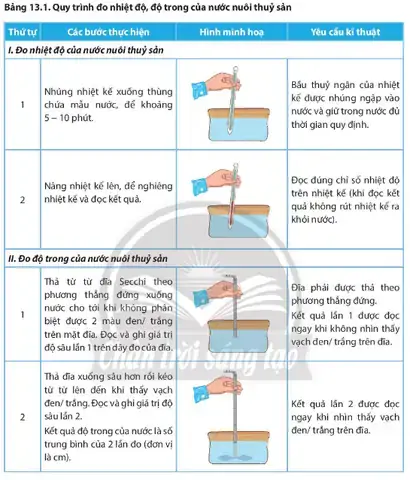 Quy Trình Chuẩn Bị Ao Nuôi Cá Gồm Mấy Bước