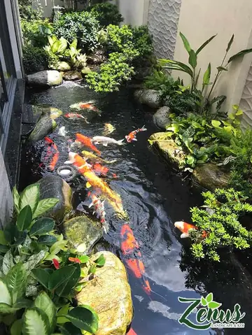 Quy Trình Thi Công Hồ Cá Koi