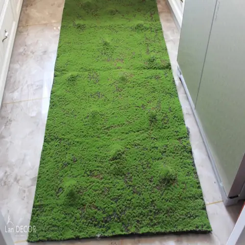 Rêu Giả Bể Cá
