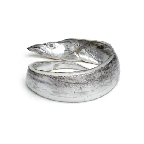 Ribbon Fish Là Cá Gì