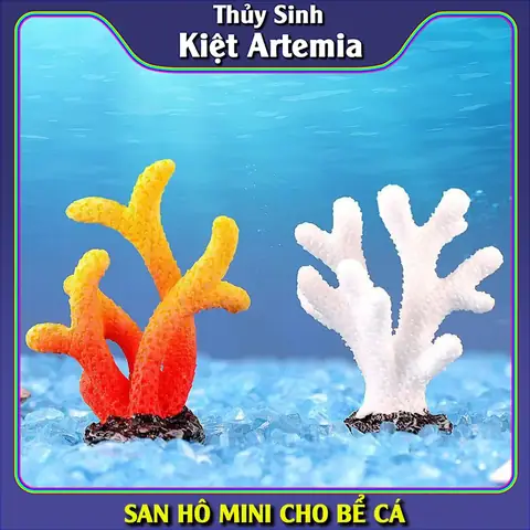 San Hô Cho Hồ Cá