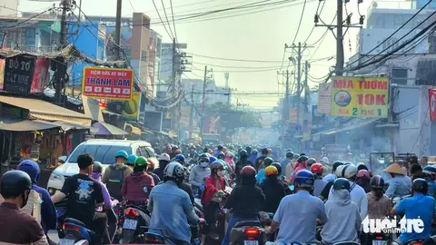 Số Con Cá Lóc