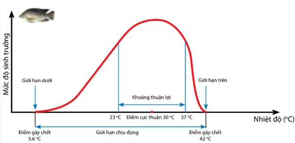 Sơ Đồ Giới Hạn Sinh Thái Của Cá Rô Phi