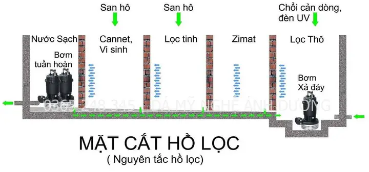 Sơ Đồ Lọc Hồ Cá Koi