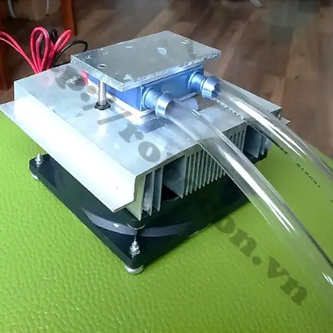 Sò Nóng Lạnh Cho Bể Cá