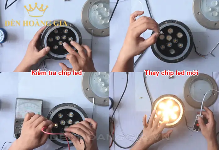 Sửa Bể Cá Tại Nhà