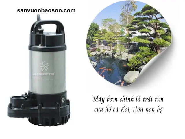 Sửa Máy Bơm Hồ Cá
