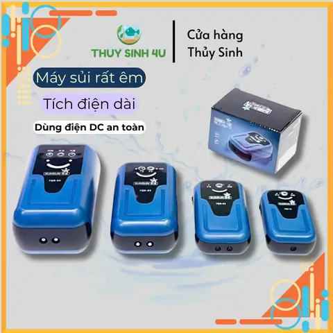 Sủi Bể Cá Siêu Êm
