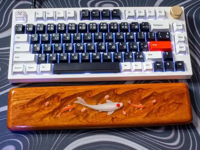 Sumi Cá Koi Là Gì