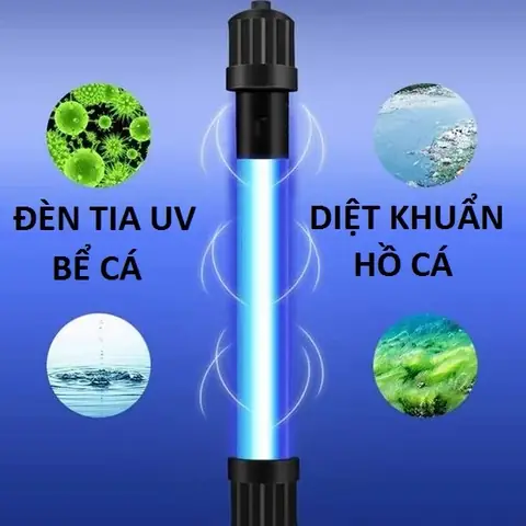 Tác Dụng Đèn Uv Cho Bể Cá
