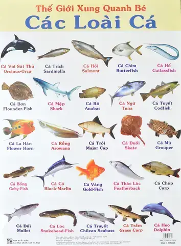 Tên Các Loài Cá Trên Thế Giới