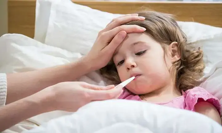 Thân Nhiệt Của Cá Là Bao Nhiêu