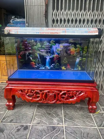 Thanh Lý Be Cá Cảnh Tại Thái Bình