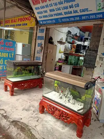 Thanh Lý Bể Cá Hải Phòng