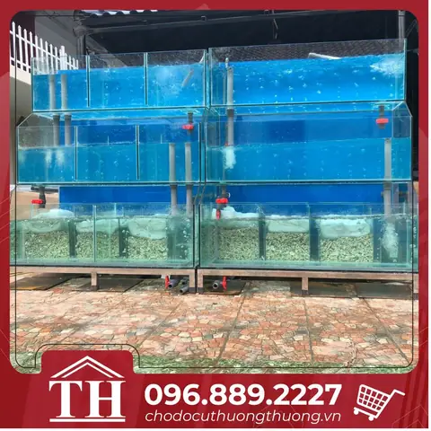 Thanh Lý Bể Cá Nhà Hàng