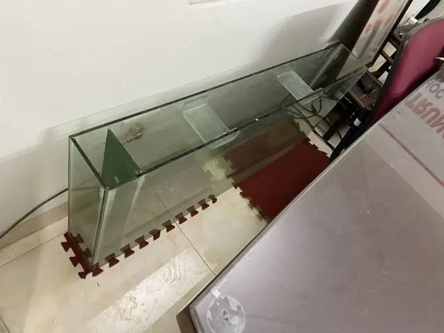 Thanh Lý Bể Cá Treo Tường