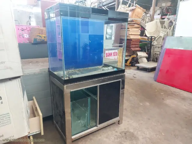 Thanh Lý Hồ Cá Thủy Sinh