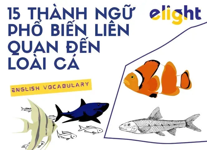 Thành Ngữ Về Cá