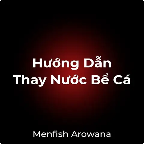 Thay Nước Cá Rồng