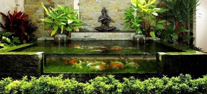 Thi Công Hồ Cá Koi Mini