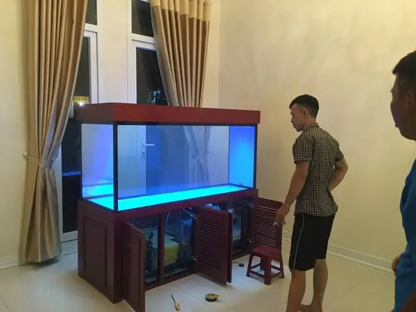 Thi Công Hồ Cá Rồng