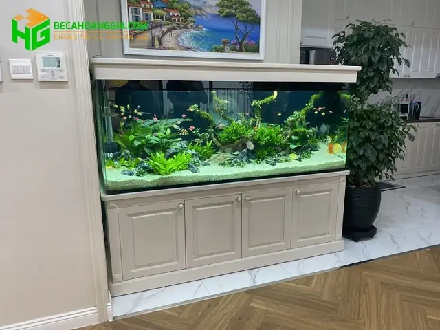 Thi Công Hồ Cá Thủy Sinh