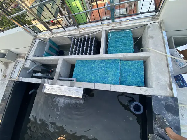 Thiết Bị Hồ Cá