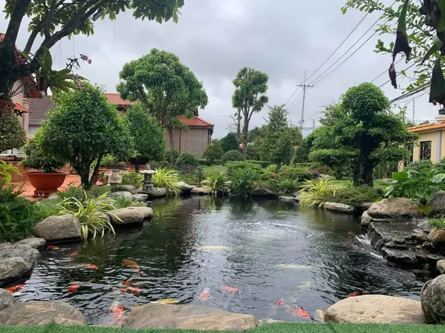 Thiết Kế Ao Cá