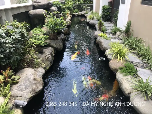 Thiết Kế Hồ Cá Koi Đơn Giản