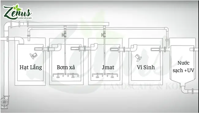 Thiết Kế Lọc Hồ Cá
