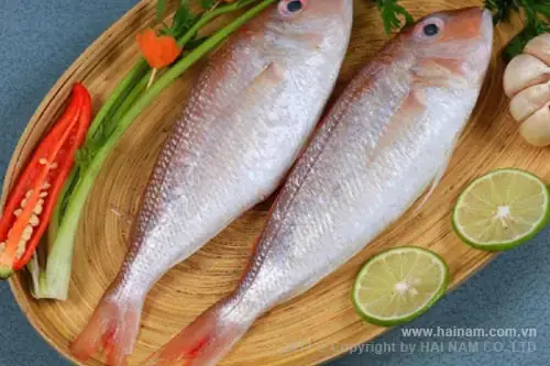 Threadfin Bream Là Cá Gì Threadfin Bream Là Cá Gì