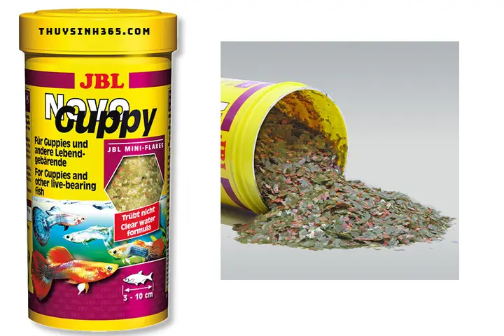 Thức Ăn Cá Guppy