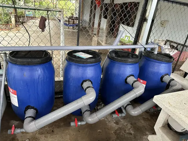 Thùng Lọc Nước Hồ Cá