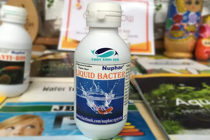 Thuốc Chống Sốc Nước Cho Cá Thuốc Chống Sốc Nước Cho Cá