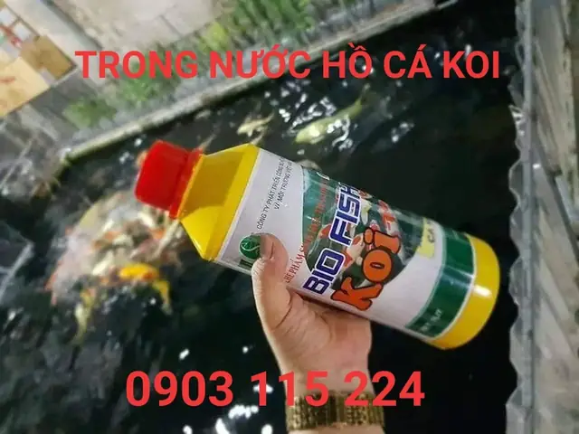 Thuốc Diệt Rêu Hồ Cá Koi