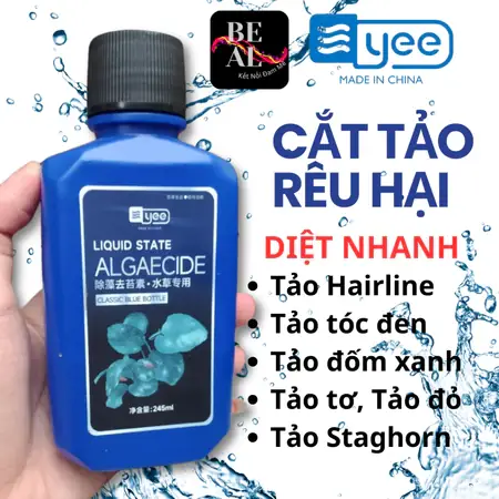 Thuốc Diệt Tảo Hồ Cá