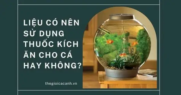 Thuốc Kích Ăn Cho Cá