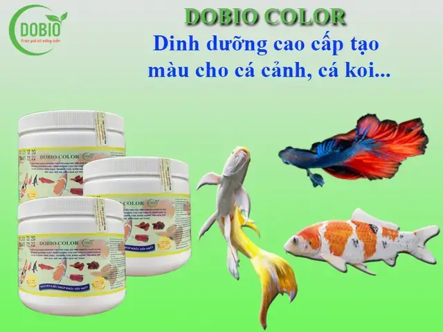 Thuốc Lên Màu Cho Cá