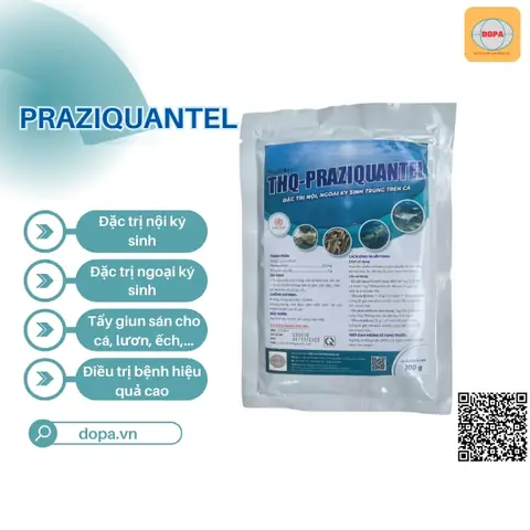 Thuốc Praziquantel Cho Cá