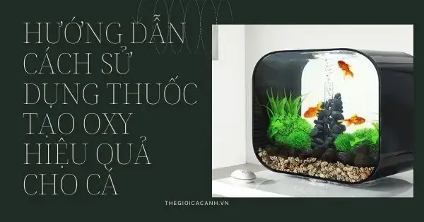 Thuốc Tạo Oxy Cho Cá