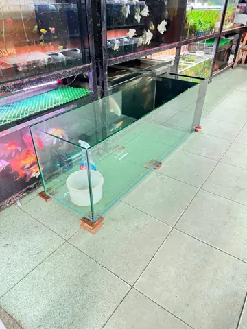 Tiệm Cá Cảnh Bmt