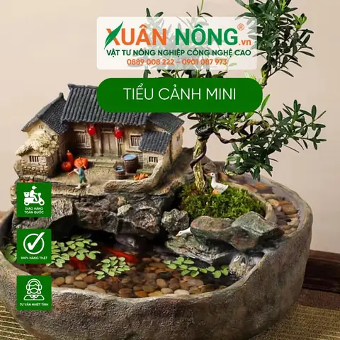 Tiểu Cảnh Bể Cá Mini Để Bàn